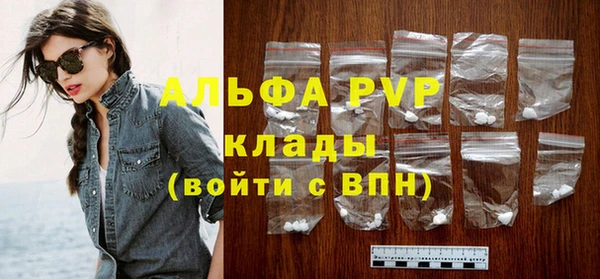 дмт Новодвинск