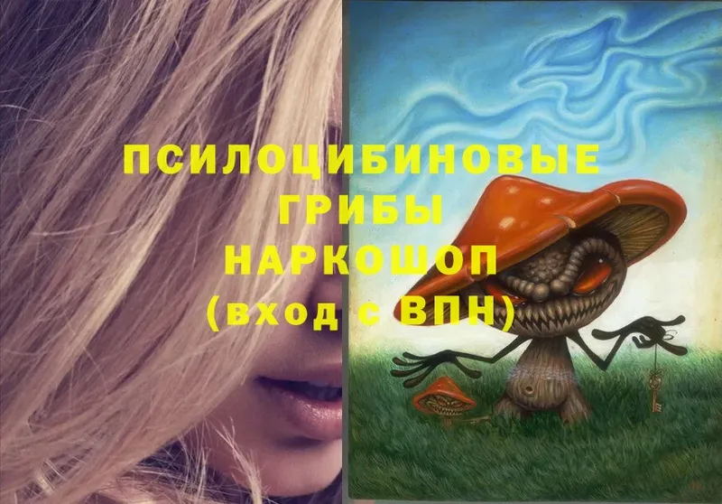 Галлюциногенные грибы Magic Shrooms  наркотики  ссылка на мегу ССЫЛКА  Волоколамск 