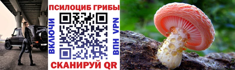 Псилоцибиновые грибы Cubensis  darknet как зайти  Волоколамск 