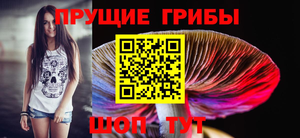 Галлюциногенные грибы Cubensis Волоколамск